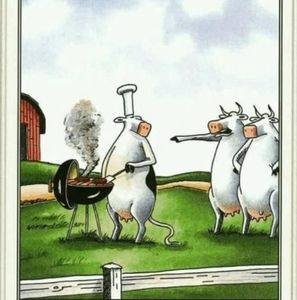 Meet your Posher, Jesse